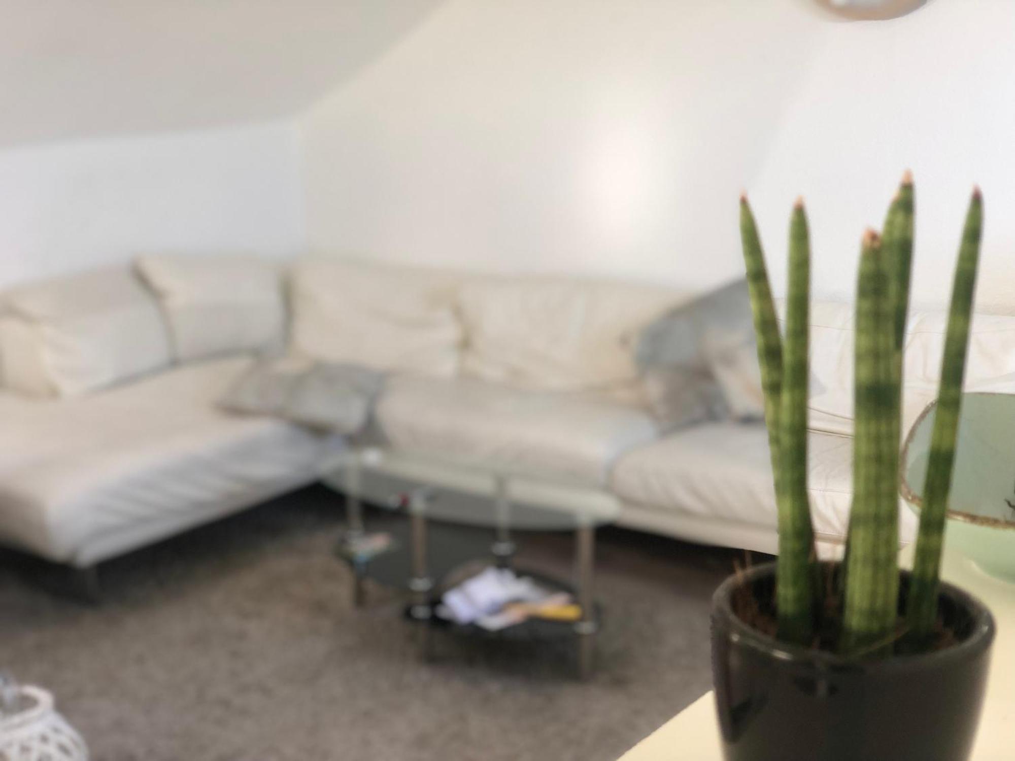 Caleva'S Bnb Pforzheim Extérieur photo